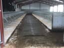 Passage widths and cubicle bed lengths should never be compromised in a dairy building.