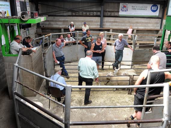 Summer show and sale of livestock, sheep and cattle at Holmfirth Attested Auction Mart. This photograph was taken in 2019 pre Covid-19. Picture: Tony Johnson/Yorkshire Post Newspapers