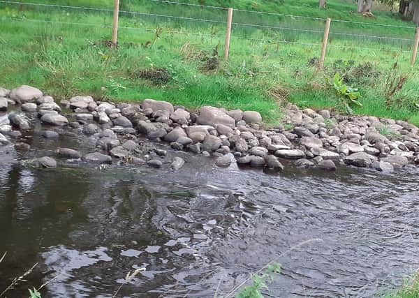 Provision of clean loose gravel banks provide a range of habitats suitable for adult fish to spawn.