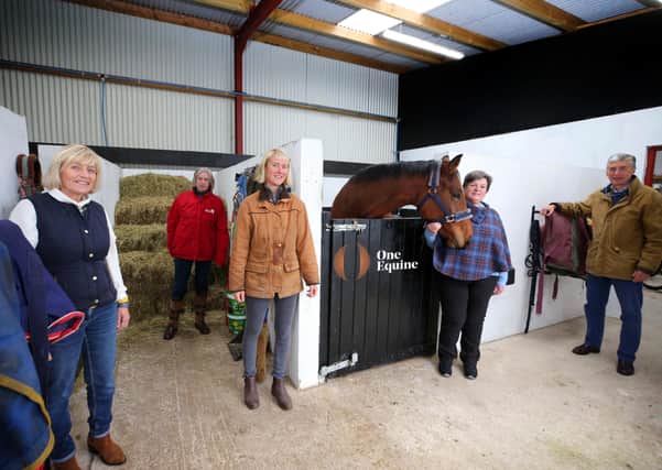 Left to right: Hazel Winning, Julie Frazer, Molly McCluskey, Louise Skelly and Richard Moore with Dora the mare mark launch of the One Equine Trust.