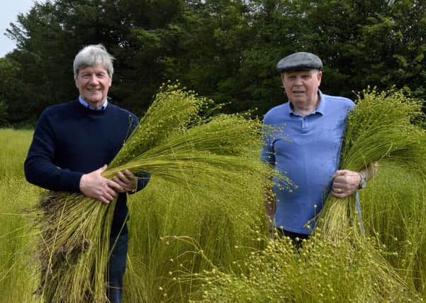 Joe Mahon  and Colm Clarke with their flax harvest in the Laggan