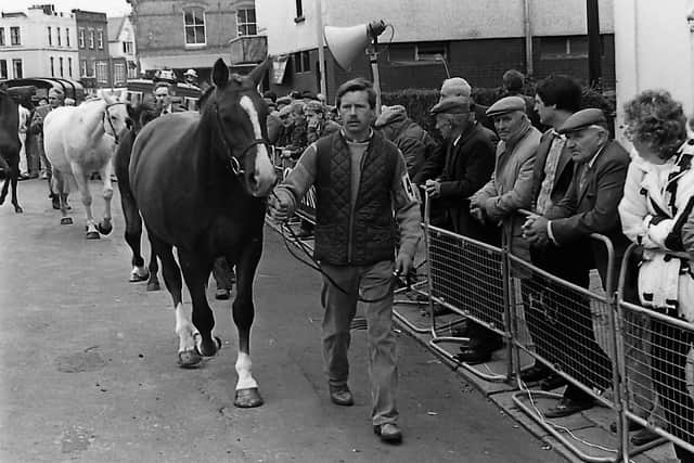 The experts cast a beady eye over the stock during judging at the seventh annual Dromore Horse Fair which was held in the Co Down town in October 1989. Picture: Trevor Dickson/News Letter archives