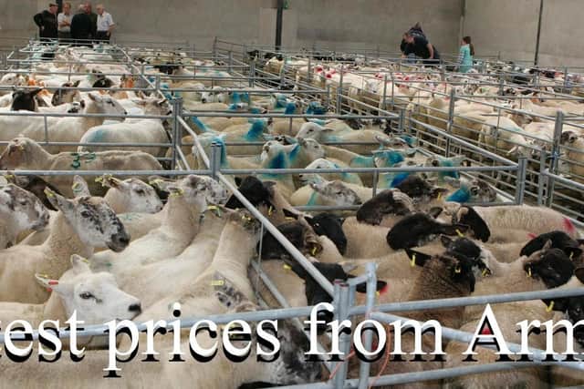 Armoy Mart