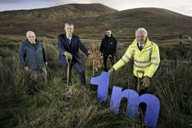 NI Water’s ambition, to plant over 1 million trees over the next 10 years is underway. As the second biggest landowner in Northern Ireland, NI Water is delivering a large-scale planting programme across 11,300 hectares of land