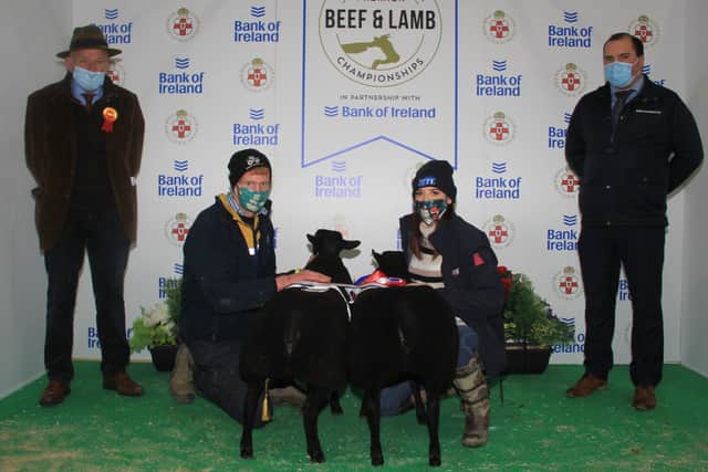The title of Best Butcher Pair at the third Royal Ulster Premier Beef & Lamb Championships was won by Tommy Jackon from Saintfield. Pictured alongside the two Champion Dutch Spotted lambs were Judge Jim Quail, Tommy Jackson and Zoe McSpadden and Richard Primrose from Bank of Ireland
