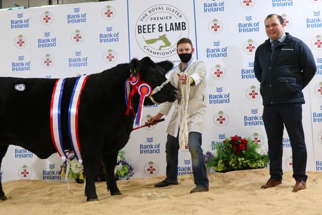 The Native Championship was won by Mr Richard Law from Ballinamallard. This fantastic animal also received the title of Champion Aberdeen Angus earlier in the day. Richard Law is pictured alongside Richard Primrose, Bank of Ireland. On the night,  Stephen Millar from Millar Meats in Irvinestown purchased this fantastic animal