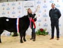 Kelly O’Kane from Ballymena is congratulated by Richard Primrose, Bank of Ireland after successfully winning the prestegious Champion Calf class sponsored by the Royal Smithfield Club