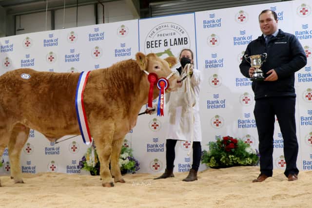 The Champion Charolais at the Royal Ulster Beef & Lamb Championships was exhibited by the Callaghan Family from Kilkeel. Richard Primrose, Agri Manager Bank of Ireland presented the trophy to Alise Callaghan