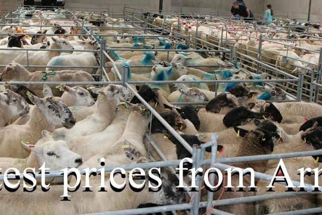 Armoy Mart