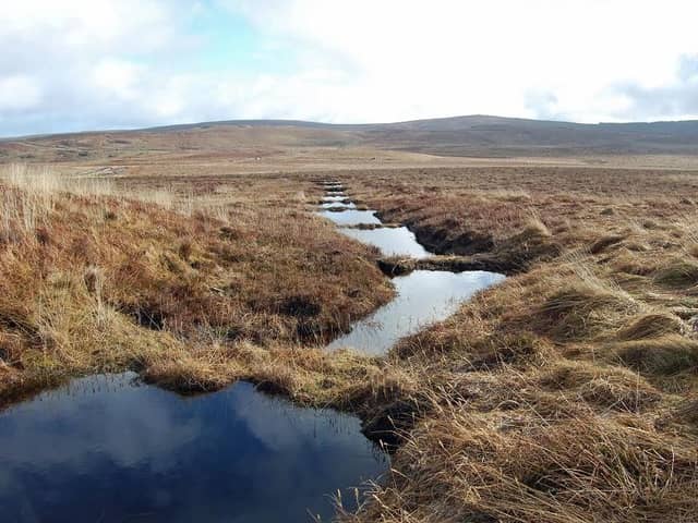 Peat dams on Garron Plateau - picture courtesy of NI Water