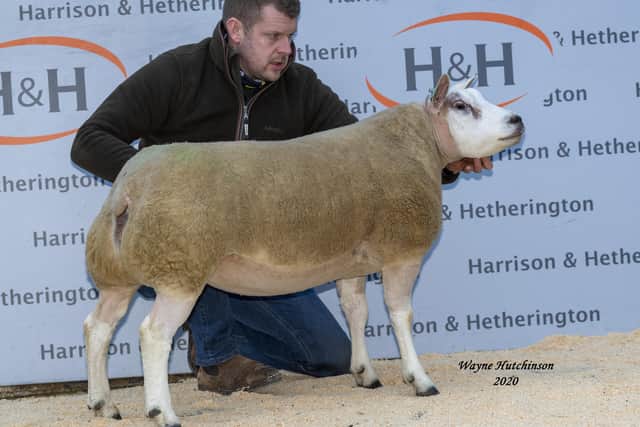 Andrew and Jamie McCutcheon of the Bodoney Flock, Trillick, County Tyrone, paid 2900gns for Lurg Elspeth ET from Alan Miller.