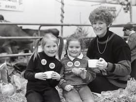 Time for a break: Mrs Rosemary Getty of Steeple Road, Kells, and her daughter Karen left, and neice, Elizabeth McAllister, take a break for refreshments at the Winter Fair at the King's Hall in December 1988. Picture: Trevor Dickson/Farming Life/News Letter archives