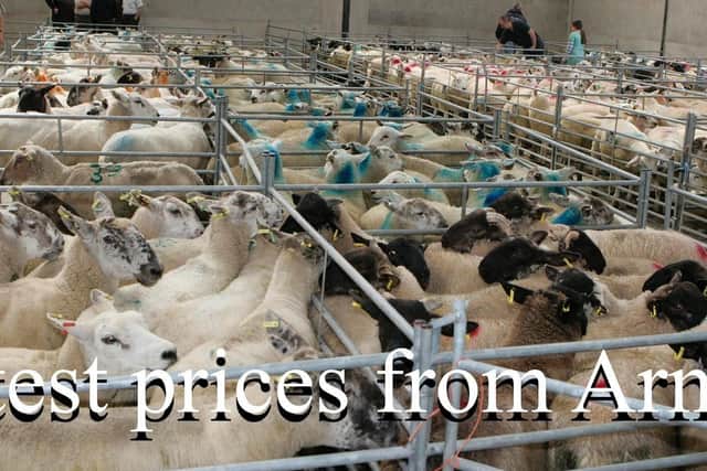 Armoy Mart