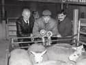 Alan Leckey from Castlederg, exhibitor of the supreme pen at the show and sale of prime lambs at Allam's Mart in Belfast in December 1988. Included are auctioneer George Clegg, left, and David Workman, agricultural, Northern Bank. Picture: Eddie Harvey/Farming Life archives