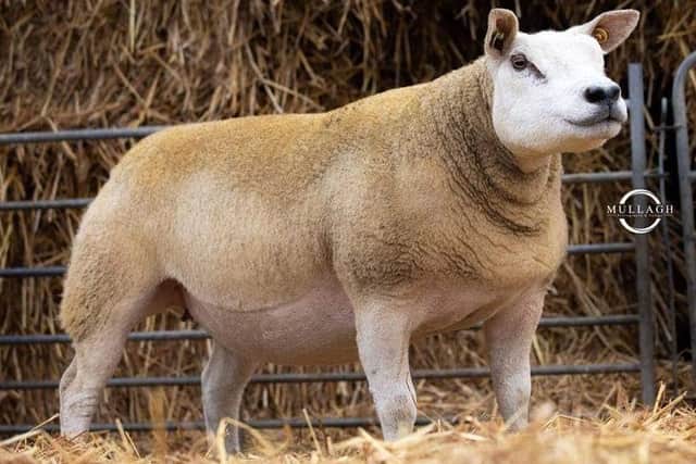 Lot 42 from Findrum 2,200gns