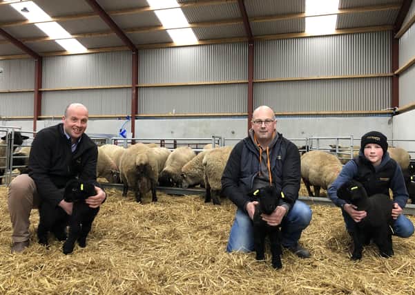 From left - Paul Elwood, from HVS Animal Health, with Jason and Joseph Trimble, from Curleyhill Suffolks
