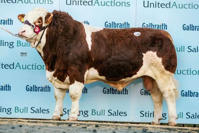 FEBRUARY: The Robson family's Kilbride Farm Jules sold for 6,200gns at Stirling. Picture: MacGregor Photography