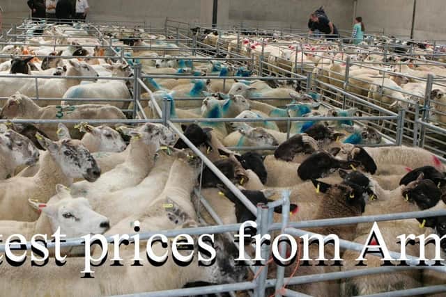 Armoy Mart
