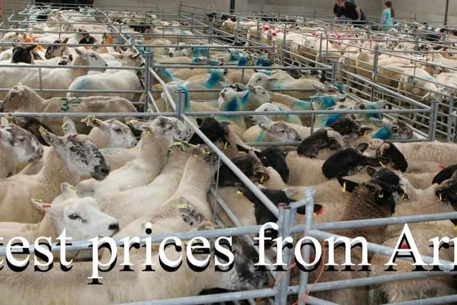 Armoy Mart