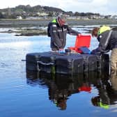 FAEB Scientists deploy new instrumented buoy in Inner Dundrum Bay