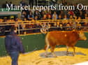 Filled to the rafters - the scene during the annual Christmas Fatstock show and sale in Omagh Auction mart.