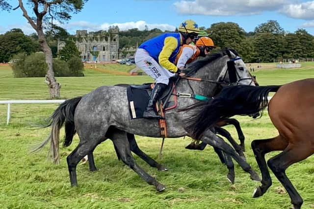 Horse racing at Castle Irvine, Necarne,  Co Fermanagh