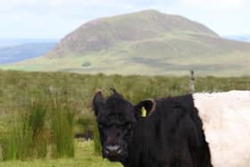 Northern Ireland’s first Food, Farming and Land Convention announced