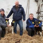 David Irwin, left, holds Redhouse 2181 Free Billy Ada,  the top red carrier heifer for TPI in Europe, while Conor Loughran Genus ABS holds Redhouse 2212 Crimson Isa 2, the number one heifer for milk in the UK. In the centre is Alan Irwin