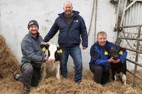 David Irwin, left, holds Redhouse 2181 Free Billy Ada,  the top red carrier heifer for TPI in Europe, while Conor Loughran Genus ABS holds Redhouse 2212 Crimson Isa 2, the number one heifer for milk in the UK. In the centre is Alan Irwin