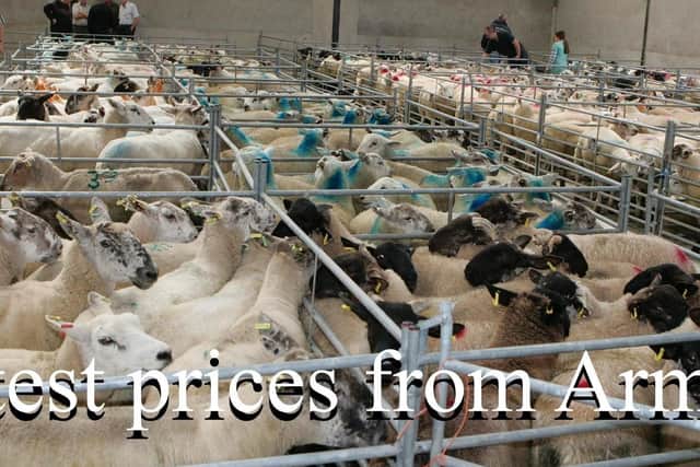 Armoy Mart