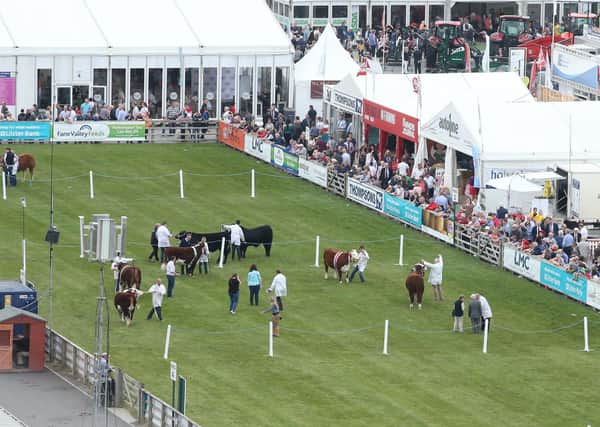 PressEye-Northern Ireland- 15th May  2019-Picture by Brian Little/PressEye
General views. of  Balmoral Park during the first day of the Balmoral Show 2019
Picture by Brian Little/PressEye