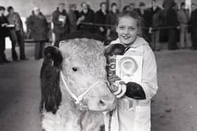 Eleven-year-old Ruth Smiley from Carrickfergus, Co Antrim, with a prize winning Hereford owned by her uncle Mr John Barron. Picture: Randall Mulligan/Farming Life archives