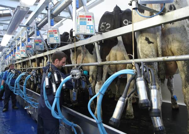 UFU members participated in Februdairy to highlight the work that is involved in dairy farming to produce high-quality produc