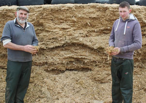 Forage maize is helping to drive milk output for Cavan Johnston
and Matthew Adams at the present time
