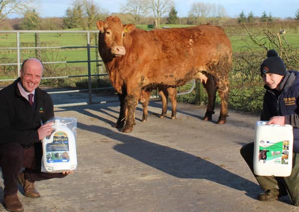 Paul Elwood, HVS Animal Health and Kile Diamond, from Pointhouse Limousins. In the background is Pointhouse Jewel, whose two ET sons did so well at the recent Carlisle pedigree Limousin sale