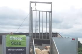 The Northern Ireland Sheep Scab Survey
