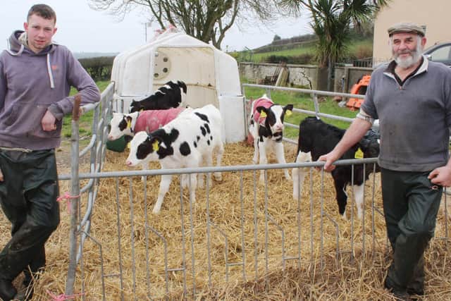 The use of sexed semen will allow Cavan Johnston and Matthew Adams to
build up cow numbers over the coming years