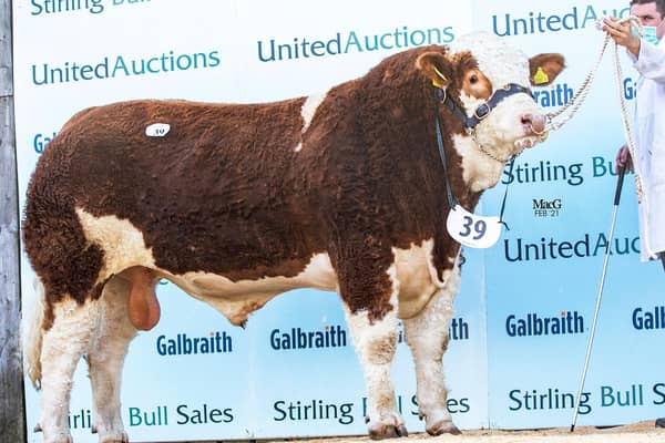 Knockreagh Kiloy ET sold for 10,000gns, setting a new herd record for Rostrevor-based herd owners Val and Conrad Fegan.