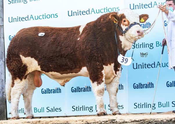 Knockreagh Kiloy ET sold for 10,000gns, setting a new herd record for Rostrevor-based herd owners Val and Conrad Fegan.
