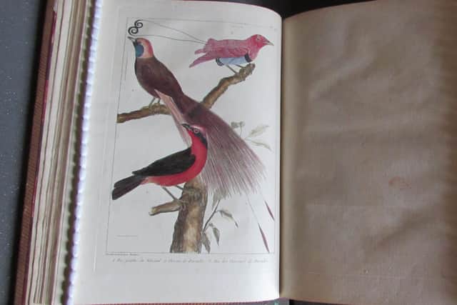 Heather Hamilton explained: “My favourite book in the collection is L’Histoire Naturelle L’Ornithologie des Oiseaux.  This is a beautifully illustrated book with hand painted birds. The book was published in Paris in 1767 and even over 250 years later, the colours are still brilliant.” Picture: National Trust Images