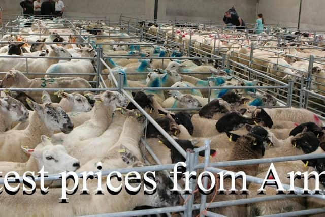 Armoy Mart