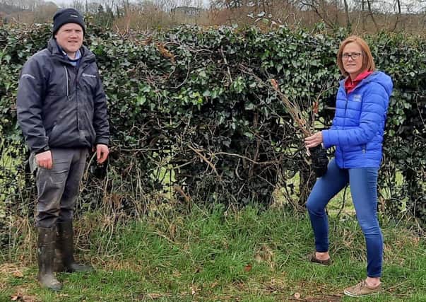 James Speers and Wendy George (CAFRE) discuss plant selection for hedge planting