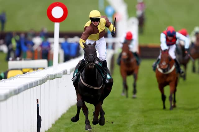 Galopin Des Champs ridden by Sean O'Keeffe crosses the line to win the Martin Pipe Conditional Jockeys' Handicap Hurdle during day four of the Cheltenham Festival at Cheltenham Racecourse. Picture date: Friday March 19, 2021. PA Photo. See PA Story RACING Cheltenham. Photo credit should read: Michael Steele/PA Wire. RESTRICTIONS: Editorial Use only, commercial use is subject to prior permission from The Jockey Club/Cheltenham Racecourse.