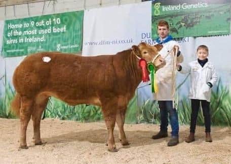Nial Quinn with last year's Limousin champion