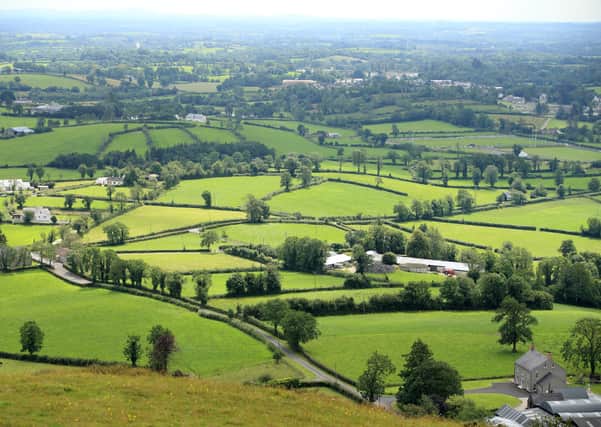 County Fermanagh countryside. Picture: Cliff Donaldson