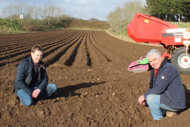 Wilson's Country agronomist Stuart Meredith (left) discussing the prospects for 2021 new season potatoes in Northern Ireland with Co Down grower William Gilmore