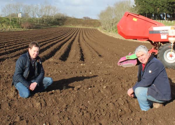 Wilson's Country agronomist Stuart Meredith (left) discussing the prospects for 2021 new season potatoes in Northern Ireland with Co Down grower William Gilmore