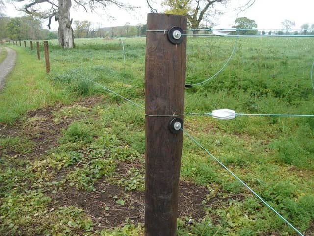 Electric paddock fencing with creosote posts.