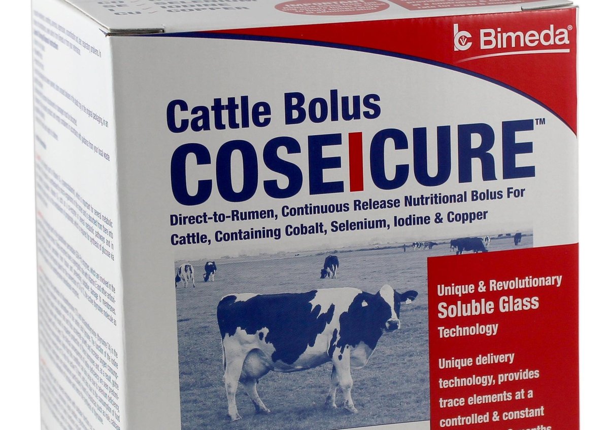 The importance of trace elements in cattle fertility and productivity |  Farming Life