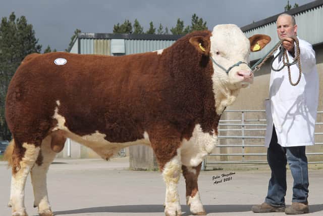 Keith Stubbs, Irvinestown, sold Rehall Karl for 3,000gns at Dungannon. Picture: Julie Hazelton